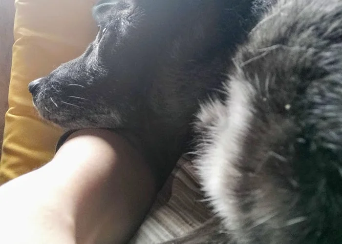 Не получилось.