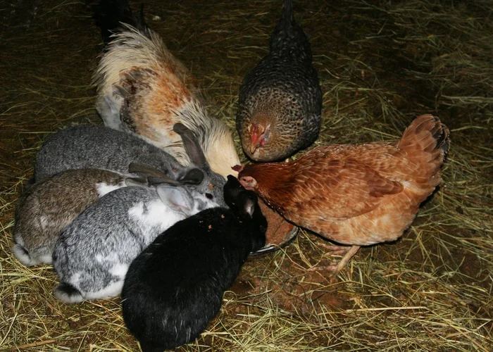 12 лет назад