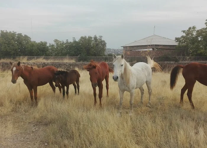 Детективное агентство