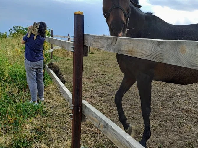 Такие большие мелочи