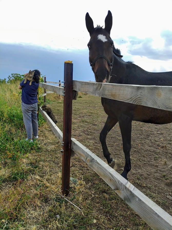 Такие большие мелочи