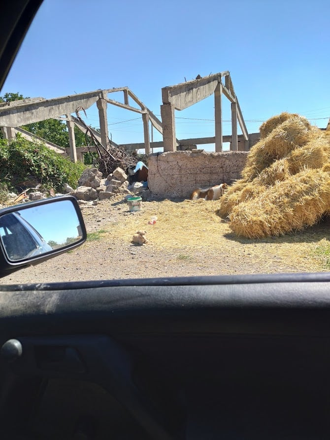 Собственная скотина