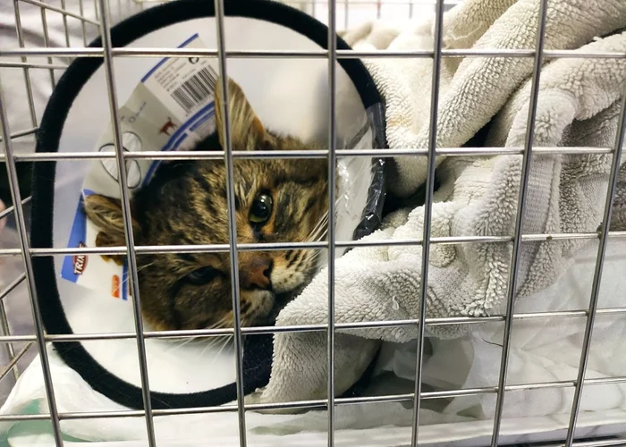 Каюк и невозможное