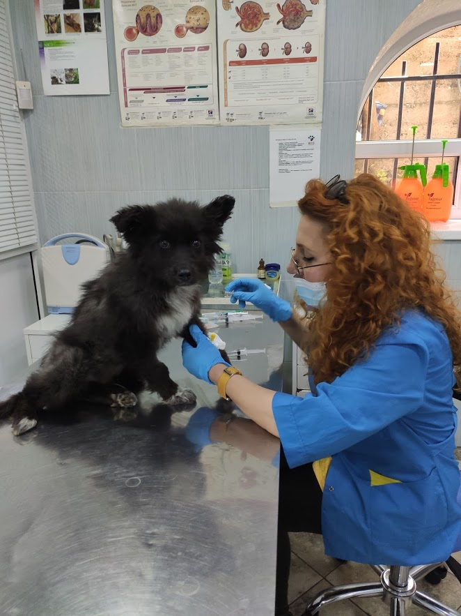 Почти, почти хеппиэнд