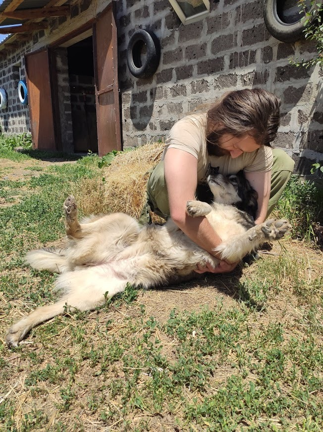 Вернулась Альда, зашла лягушка