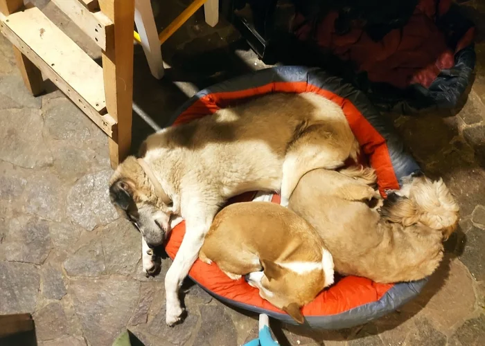 Тетрадь смерти