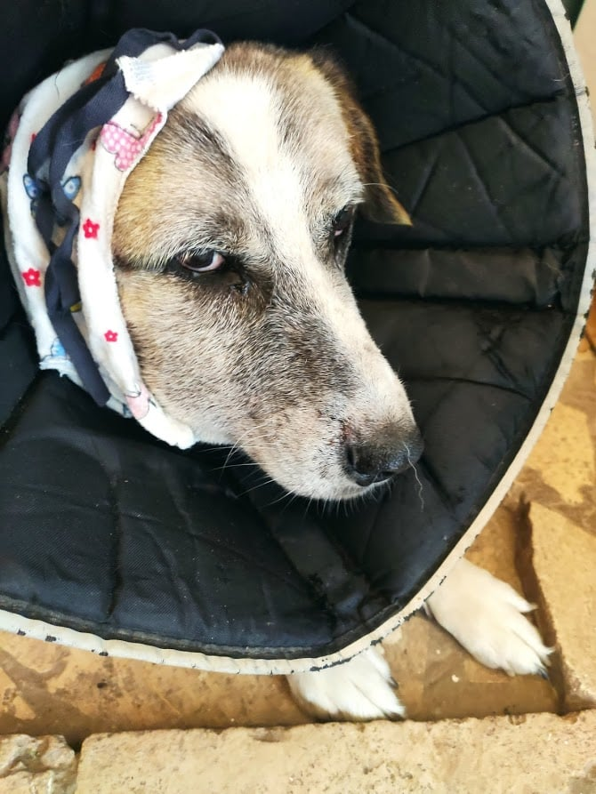 Ухо Лалоша - 2