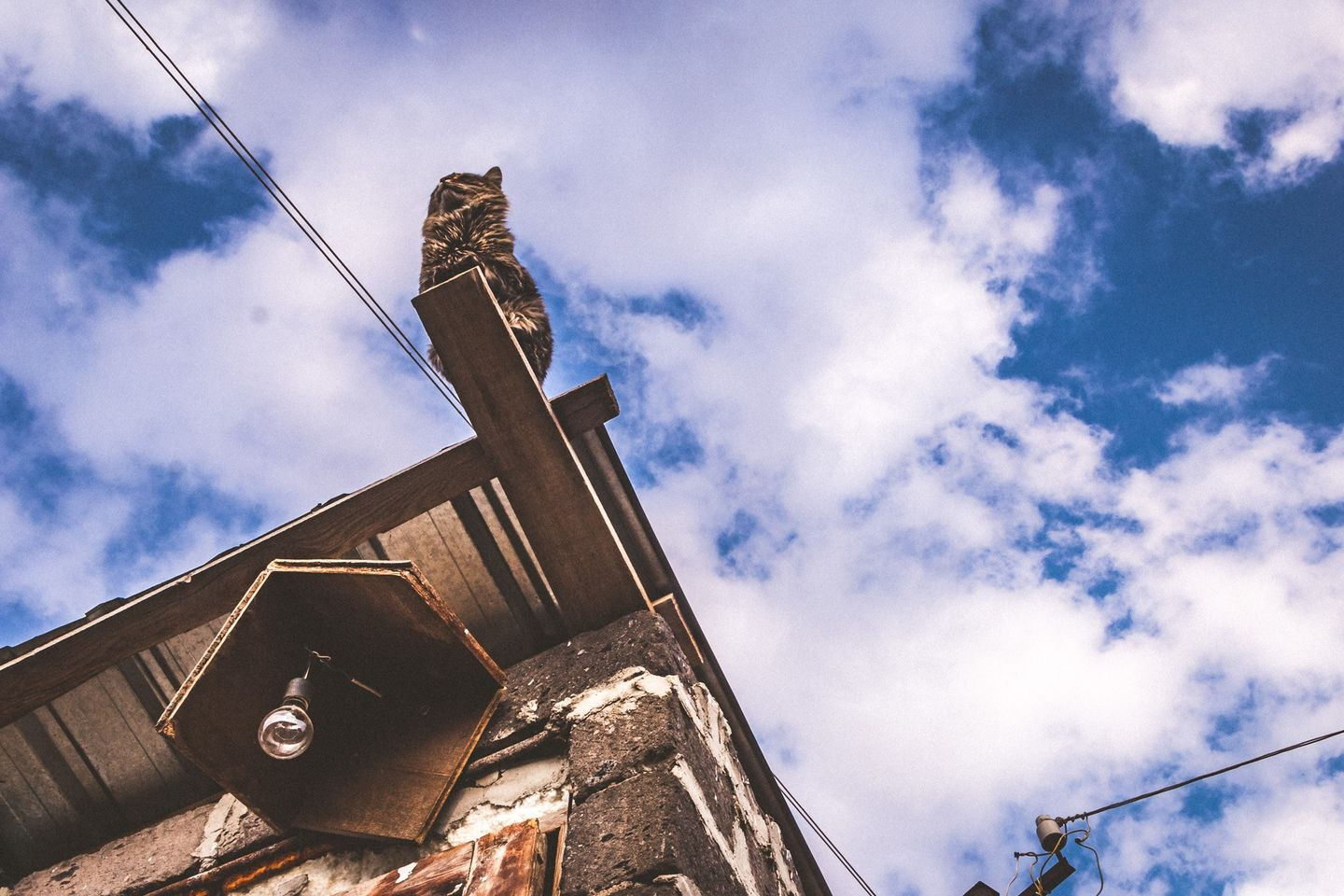 Люблю Кентавр